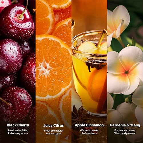 Miniatura 2 de MelodySusie Juego de 4 velas perfumadas para mujeres y hombres, paquete de 4 velas de 180 horas de combustión, velas de cera de soja natural de