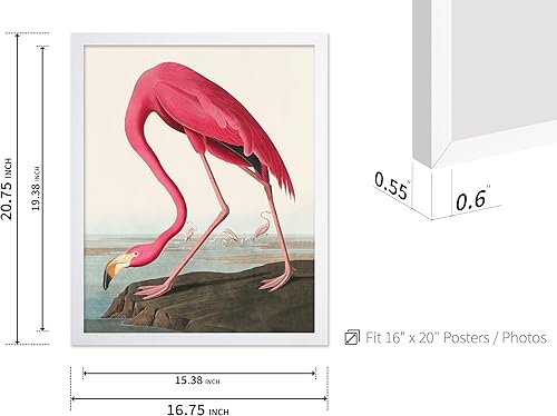 Miniatura 278 de Poster Master Póster vintage de flamenco americano, estampado retro de flamenco rosa, arte de pájaro, regalo para él, ella, amante de los animales,