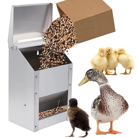MUYIRTED Mangeoire Automatique Poule, 10 Kg Distributeur Graines Poules En Acier Inoxydable, Accessoires Poulailler Pour Volaille, Pigeons, Mangeoire Exterieur À Suspendre