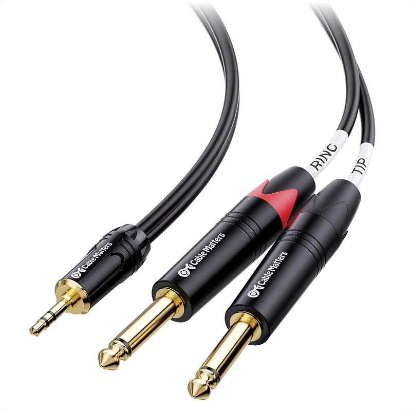 Cable Matters 3.5mm TRS to Dual 6.35mm TS Breakout Cable, 10ft | 1/8 To 1/4 Stereo Cable, 3.5mm to 1/4 Y Splitter Cord
