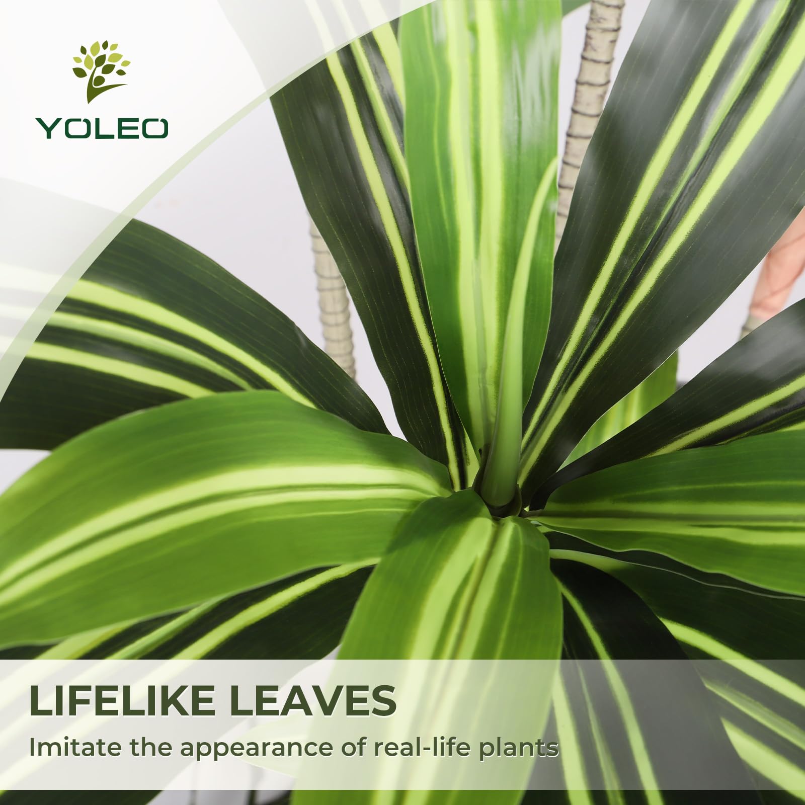Amazon.de: YOLEO Kunstpflane Drachenbaum 160cm, Knstliche Pflanzen Gro,  mit weiem Topf, Kunstbaum, Plastike Pflanze, Realistische Dracaena fr  Wohnzimmer, Bro, Garten, Indoor Dekor, Housewarming Geschenk