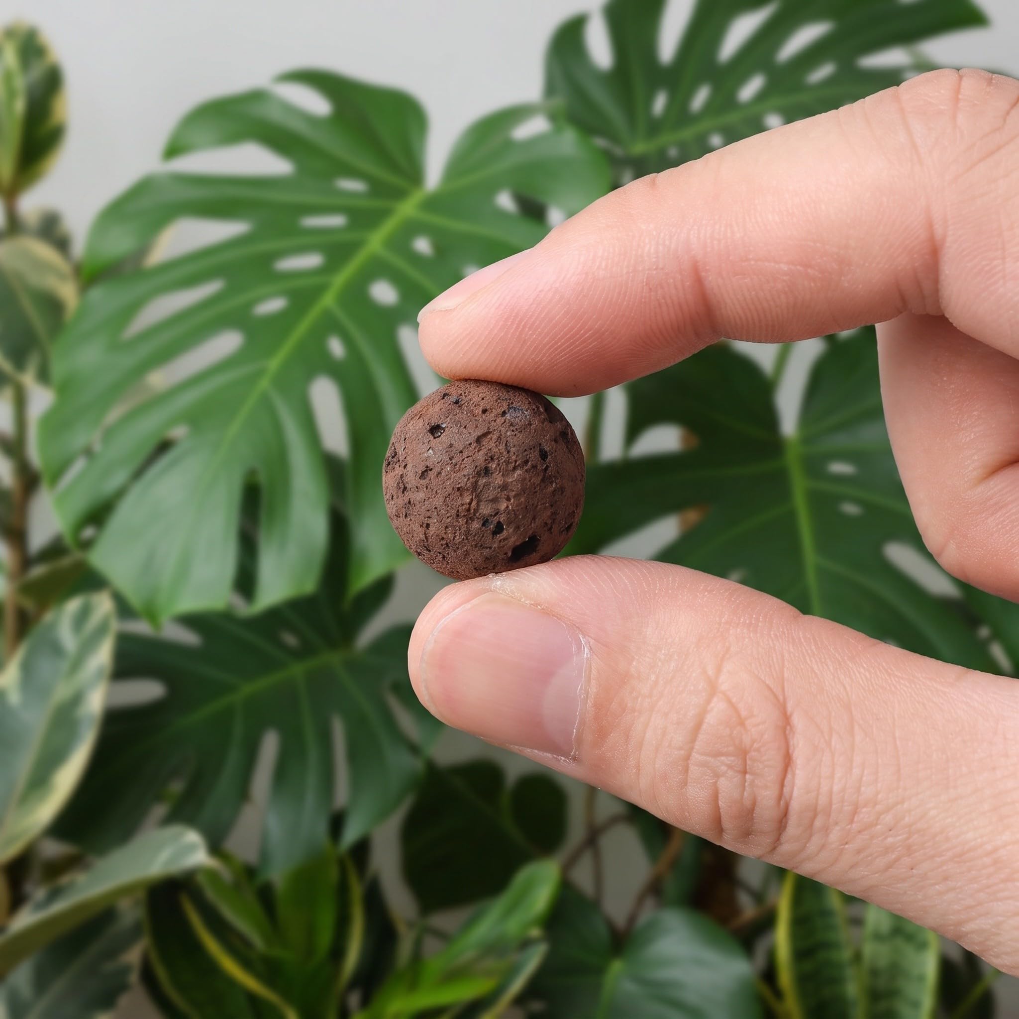 Lurrose 1 Sacchetto di Argilla espansa - Palline di Argilla per Piante da Interno per la propagazione e Il drenaggio dell'Acqua, 10-14 mm per Lo Sviluppo delle Radici nel Terreno, 1 kg/2,2 libbre