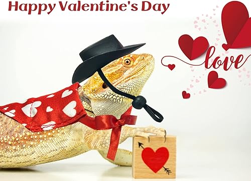 Miniatura 4 de Vehomy 4 unidades de traje de dragón barbudo para el día de San Valentín, sombrero de vaquero de dragón barbudo y bandana de lagarto, bufanda de
