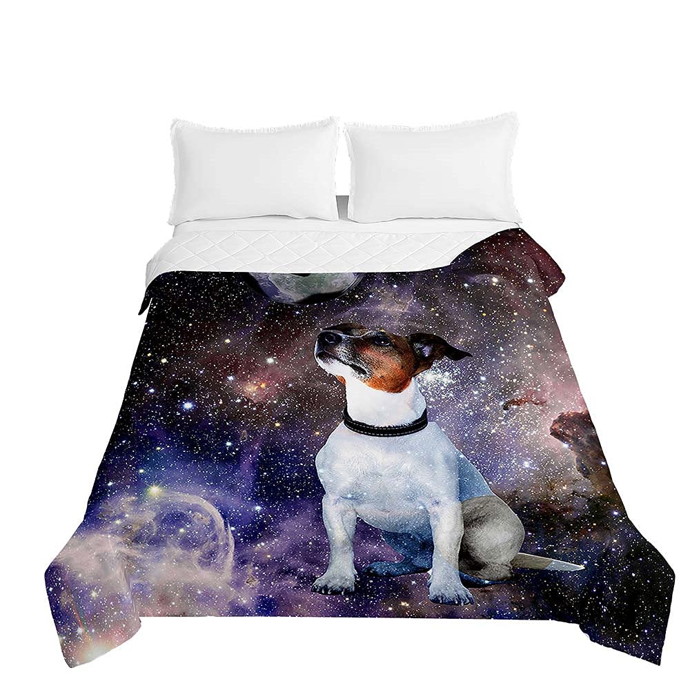 Embossed Quilted Bedspreads Single Double Super King Size, Bedspread Quilt Sofa Throws Blanket Lightweight Coverlet Microfiber Comforter Bed Sheet - 3D Dog Print (Starry sky,150 * 200cm)