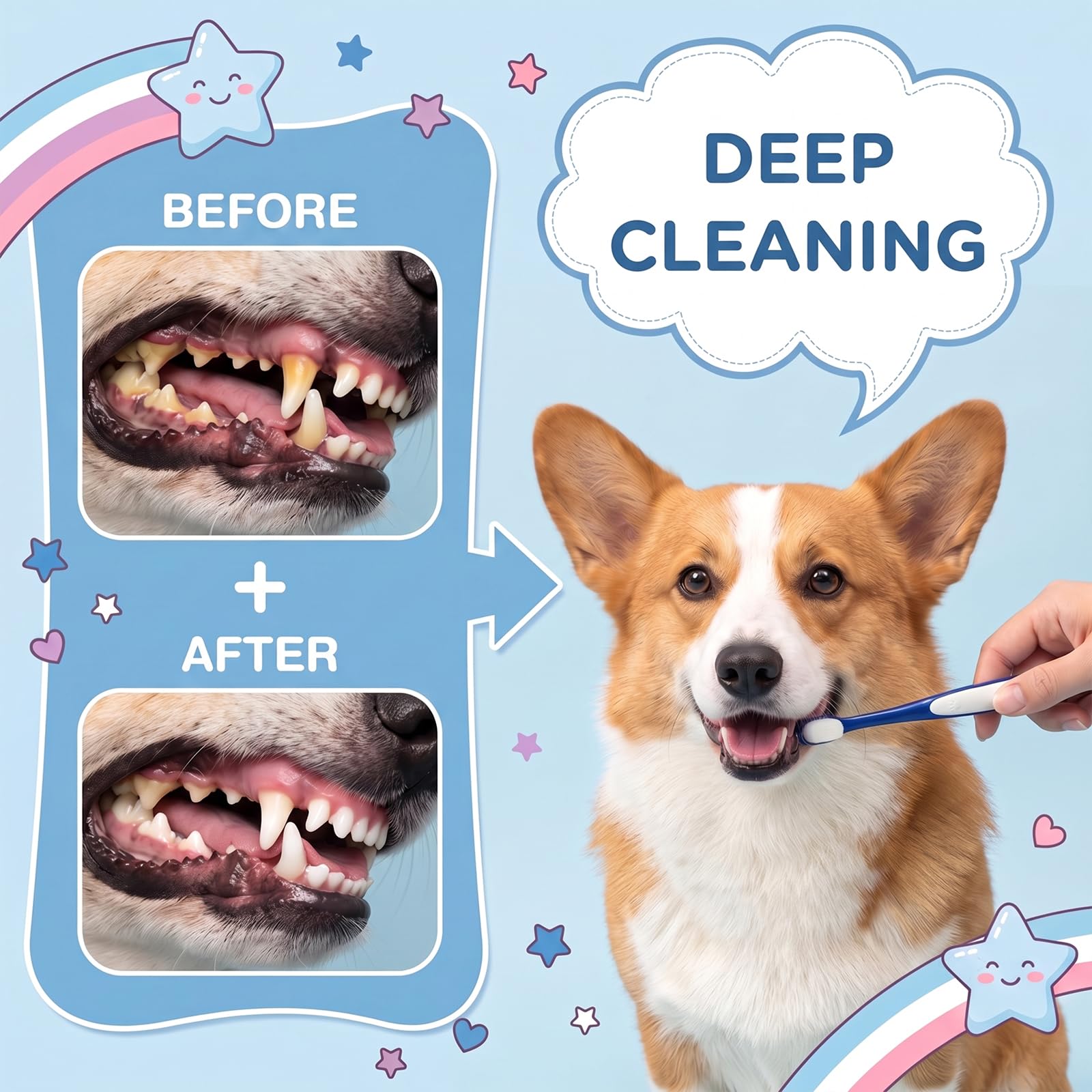 5 spazzolini da denti per cani, setole morbide e sottili da 0,01 mm, per cani e gatti | Testina pratica, comoda impugnatura in PP+PBT, 5 colori per una facile assegnazione, per cani e gatti a casa.
