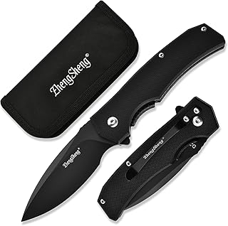 ZhengSheng Folding Pocket Knife 2.98" Ultra Sharp D2 Steel Blade G10 Handle Small EDC Knife with Pocket Clip Everyday Carry Knives for Hiking Camping (Black Handle) - ZhengSheng
