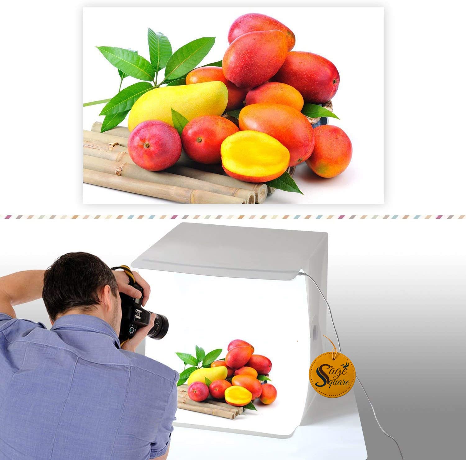 Sage Square 23cm*23cm Portable Studio Light Box, Folding Photography Studio with LED Light Daylight White, Shooting Tent with Backgrounds for Product Photography