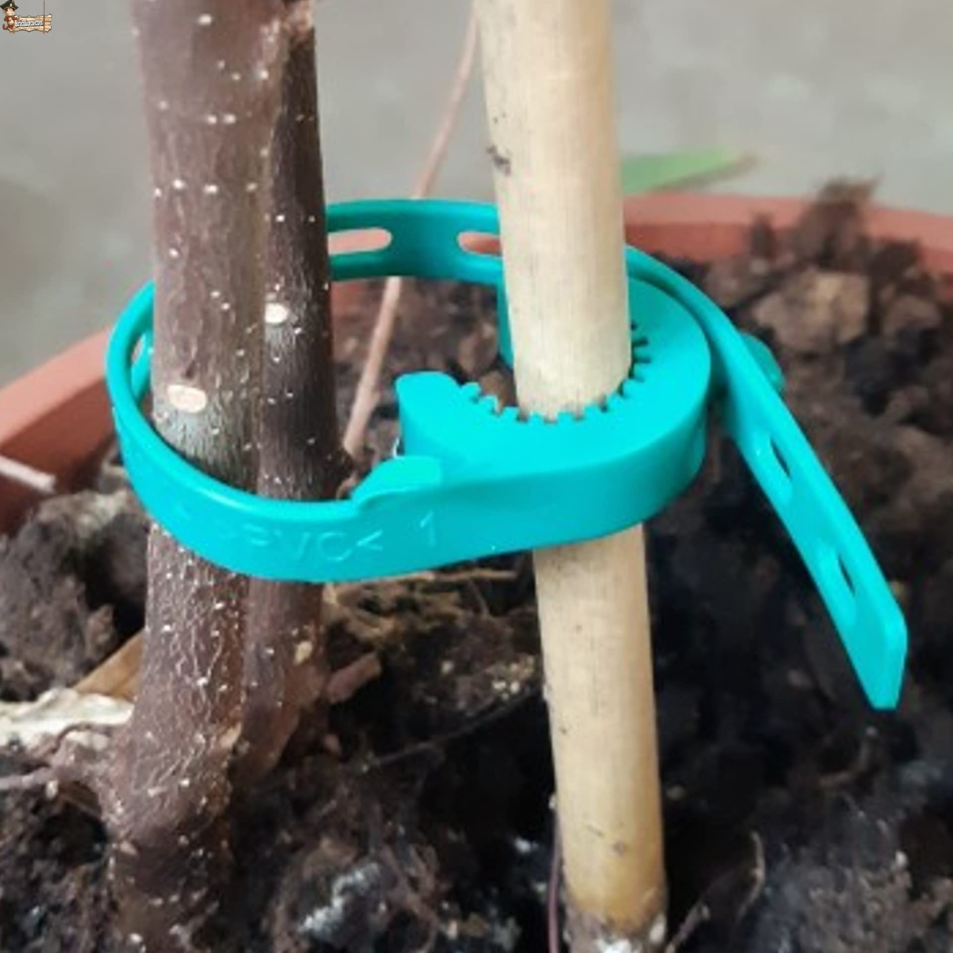 BricoLoco.com Flangia elastica intornata Piante e Tagli. Regolabile e Riutilizzabile. Clip per unire il Tallo al Sistema Tutore, guidato, Atato. (50, lunghezza 17,5 cm)