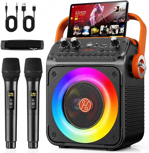 Adulte 2 Micro sans Fil Karaoke
