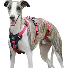 Escape Proof Dog Harness, Anti Pull Dog Harness, 3 Point Greyhound Harness, Adjustable No Escape Running Vest with Front Clip for Whippet Medium Large Breeds Training Rose Red, M