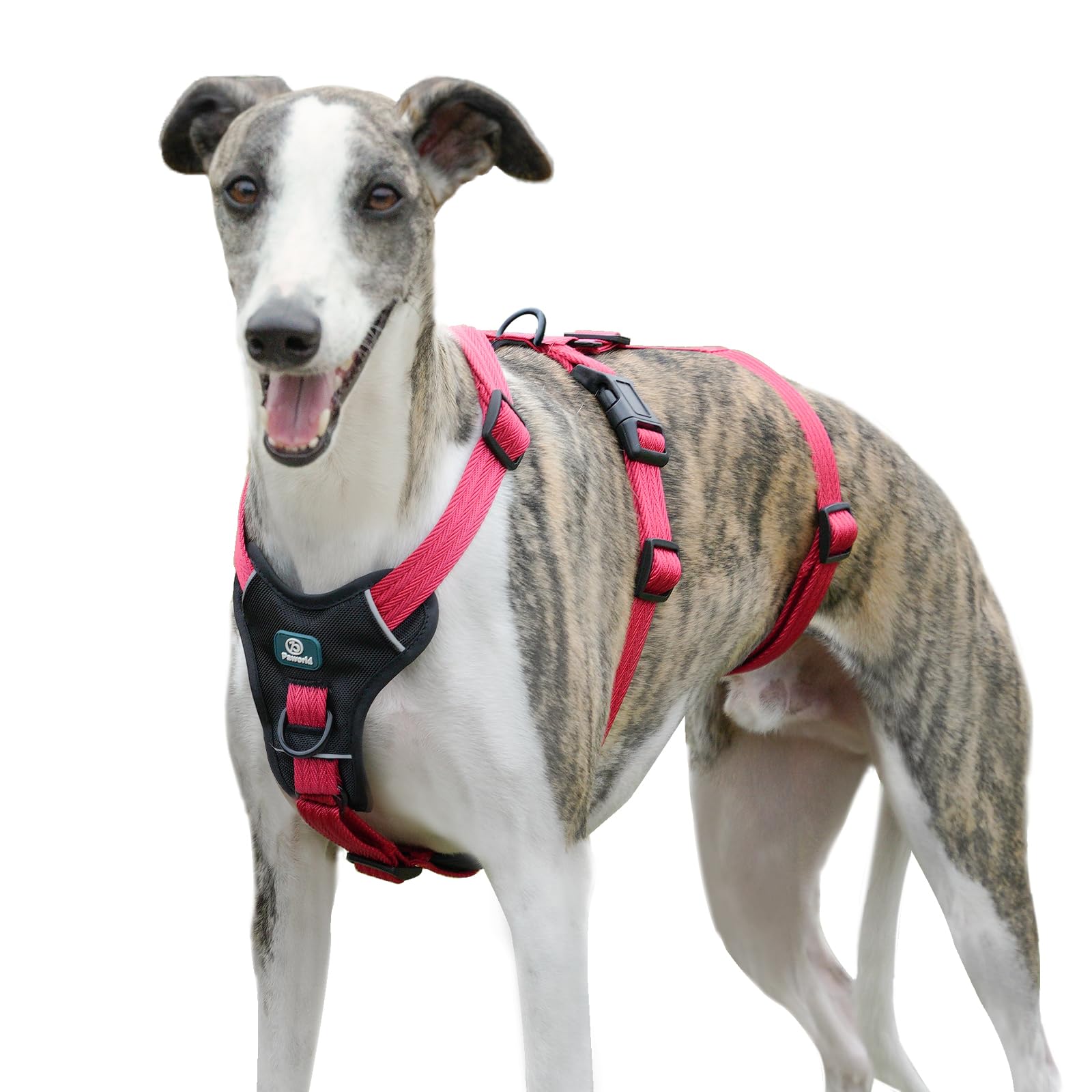 PAWORLD Pettorina Antifuga Cane, Pettorina Anti Tiro per Cani, Pettorina Cane Taglia Grande, Pettorina Regolabile Cane, Traspirante, Senza Soffocamenti, Allenamento alla Camminata (Rosa Rossa,L)