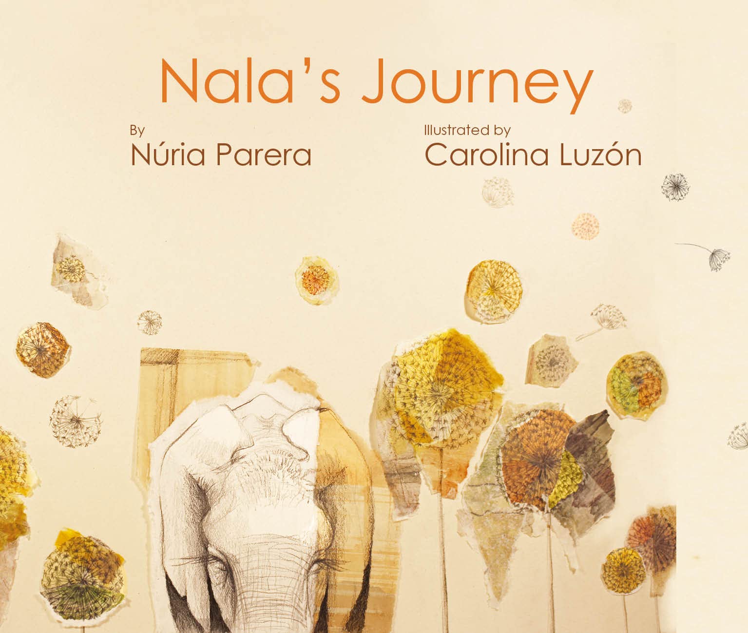 CUENTO DE LUZ Nala's Journey