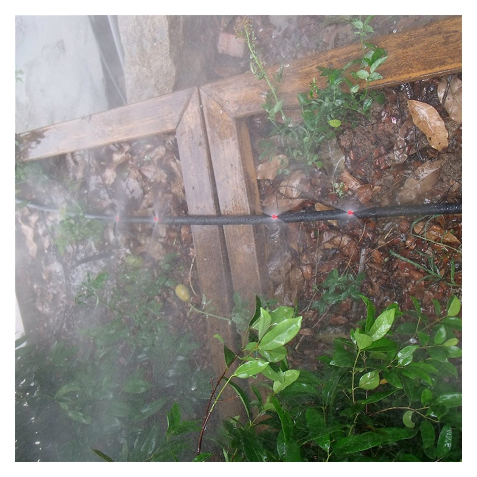System nawadniania zraszaczy ogrodowych 90/180/360 Kąt zraszacz Greenhouse Ogród Dysza nawadniania Narzędzie rolnicze Dysza rozpylająca 2000 sztuk (Color : Gr�n)