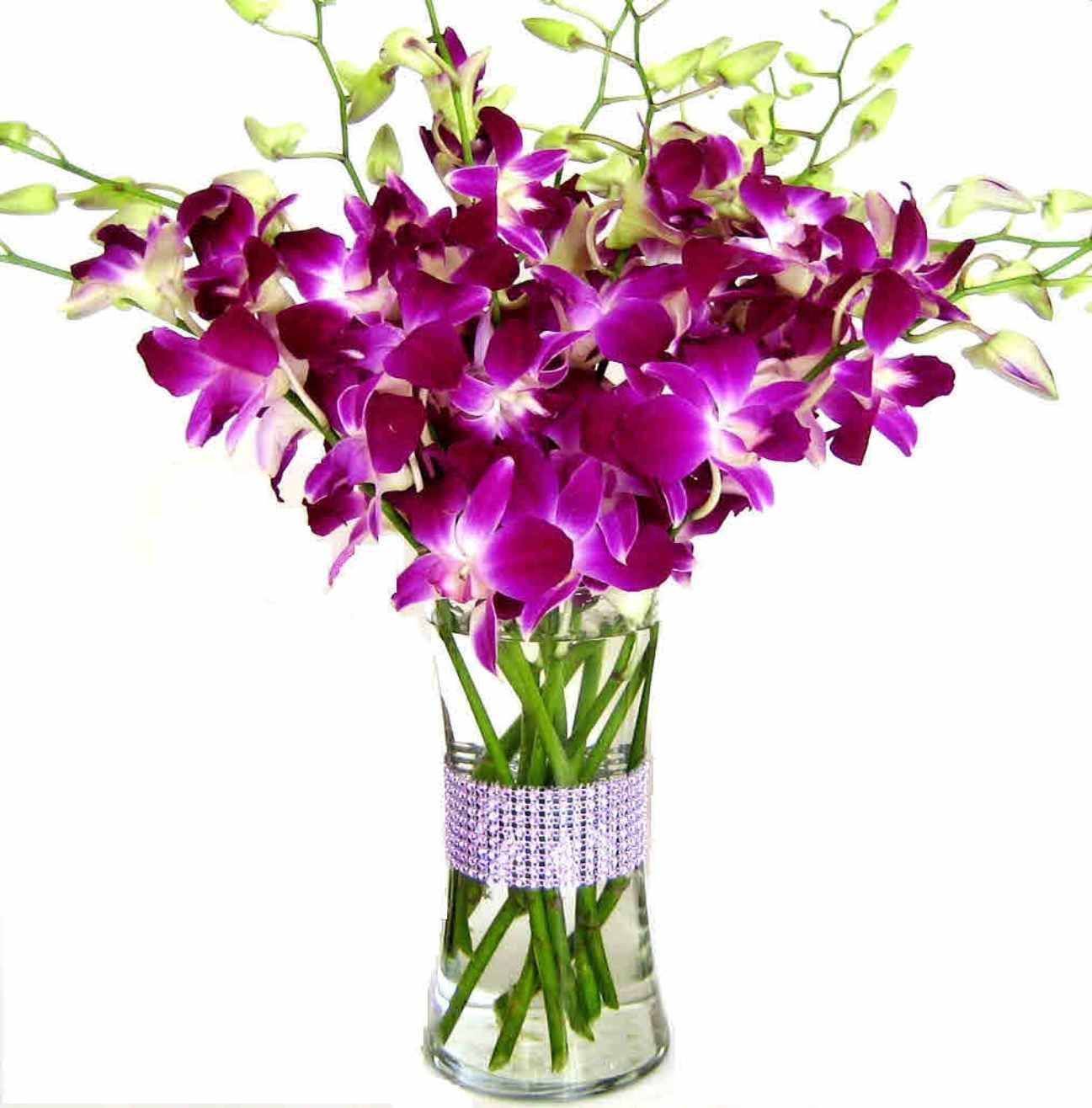 Premium Long Stem Purple Dendrobium with Vase