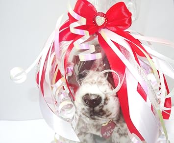 German Short Haired Pointer 12 Plush Toy Dog Plushie Can Be Personalized & Customized With An Engraved Tag, Collar and Stunning Gift Wrap
