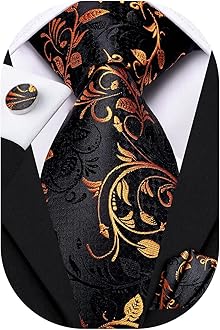 Hi-Tie Silk Paisley Ties for Men Necktie Pocket Square Cufflinks Set Foral Tie Sets Formal Business