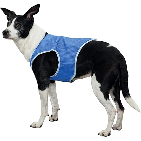 dog cooling vest amazon