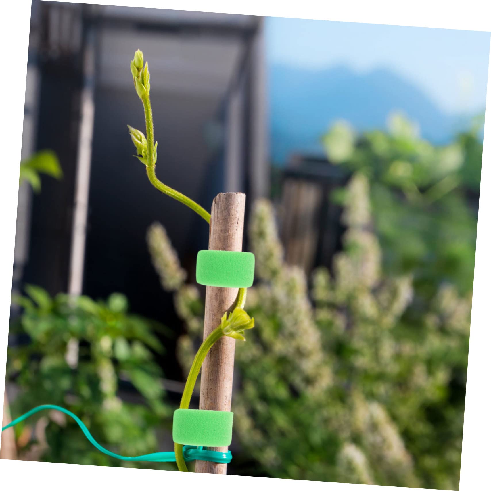 BESTonZON 4 Set Fissaggio per Piante Legacci Resistente per Giardinaggio per Sostenere E Rami Condizioni Atmosferiche Avverse Flessibile E Riutilizzabile 4 * 4