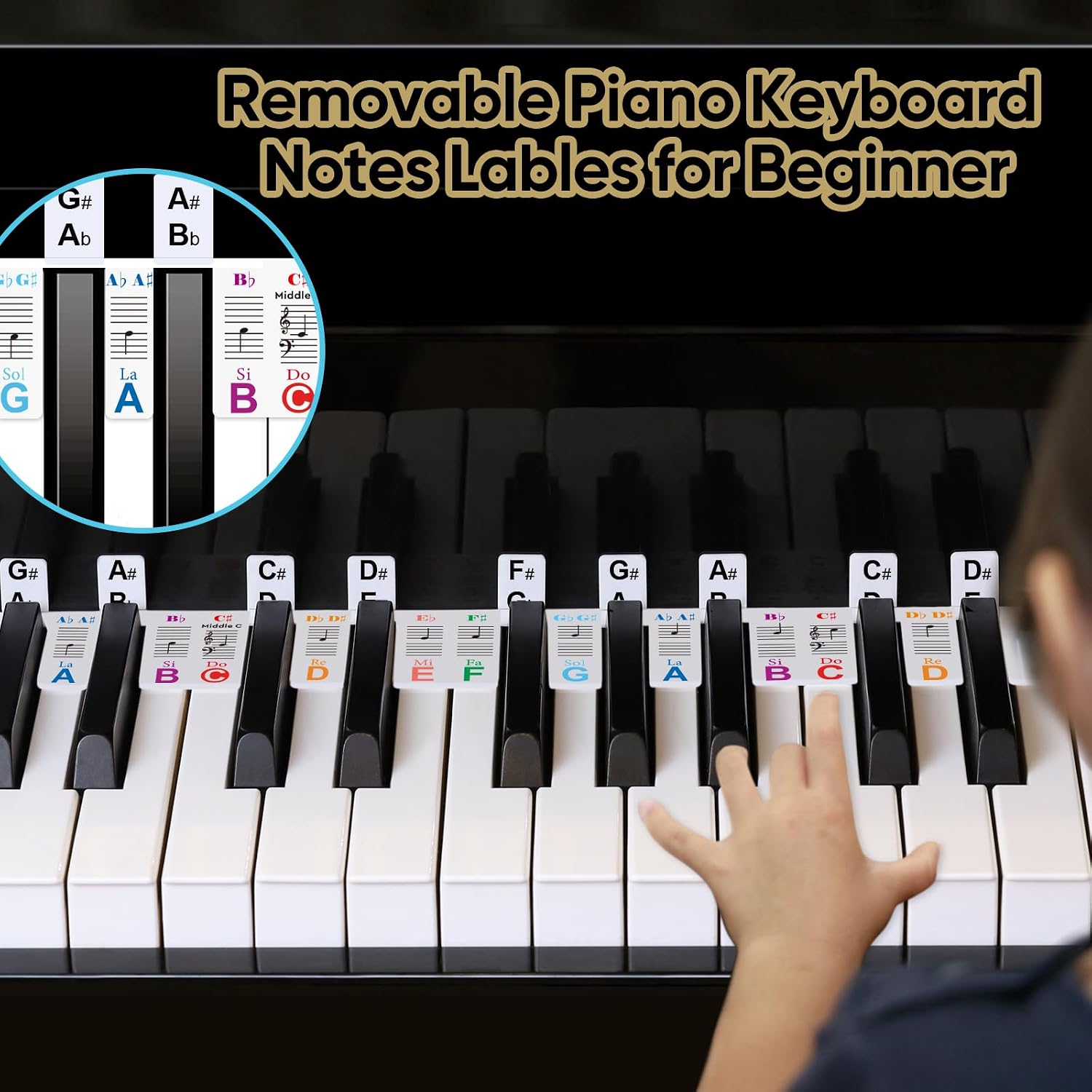 Removable Piano Notes Guide Labels with Dust Cover and Box(Color)