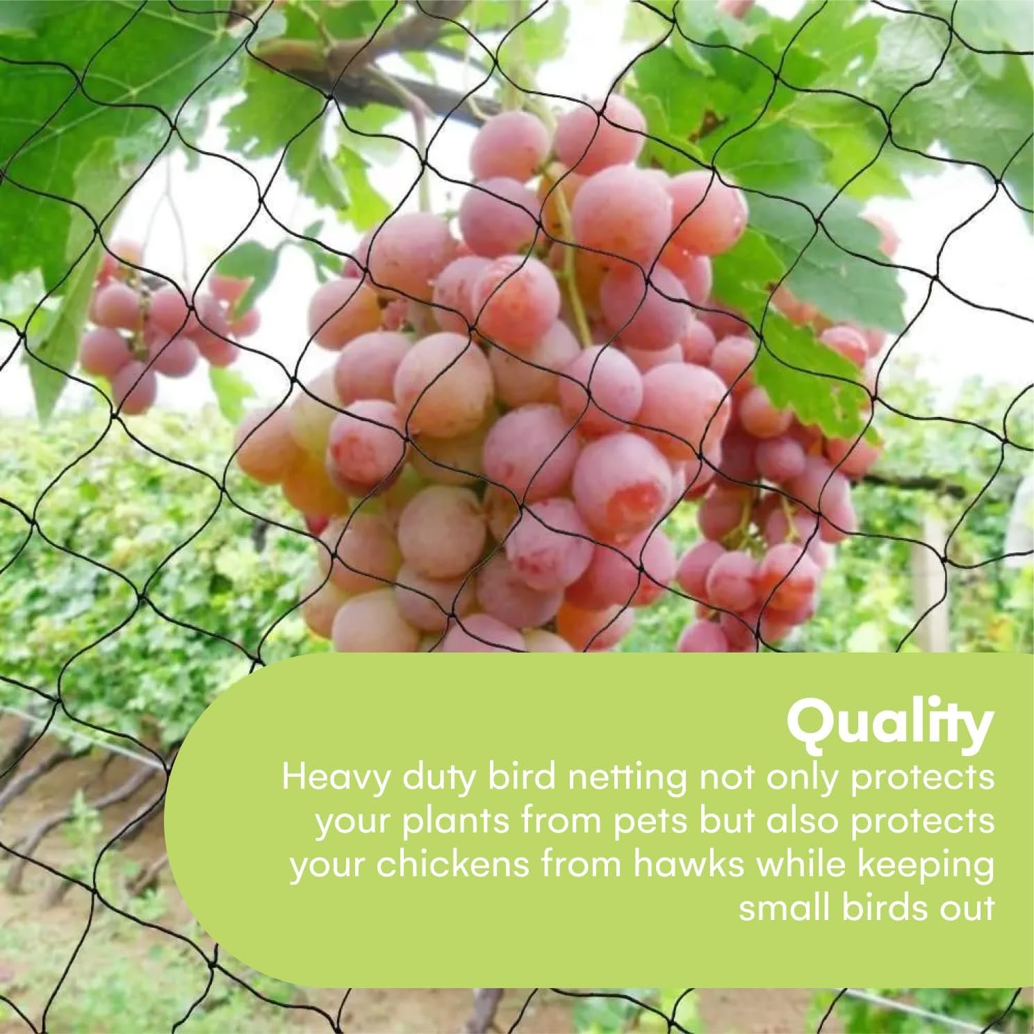 Noa Store Nylon Mesh Anti Bird Netting [25x50] ft for Fruit Trees, Garden, Plant, Tree Protectors, Aviary and Poultry Netting (Pack of 2)