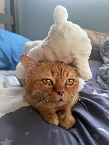 Amazon.co.jp: ジェリーキャットスマッジラムぬいぐるみ : おもちゃ