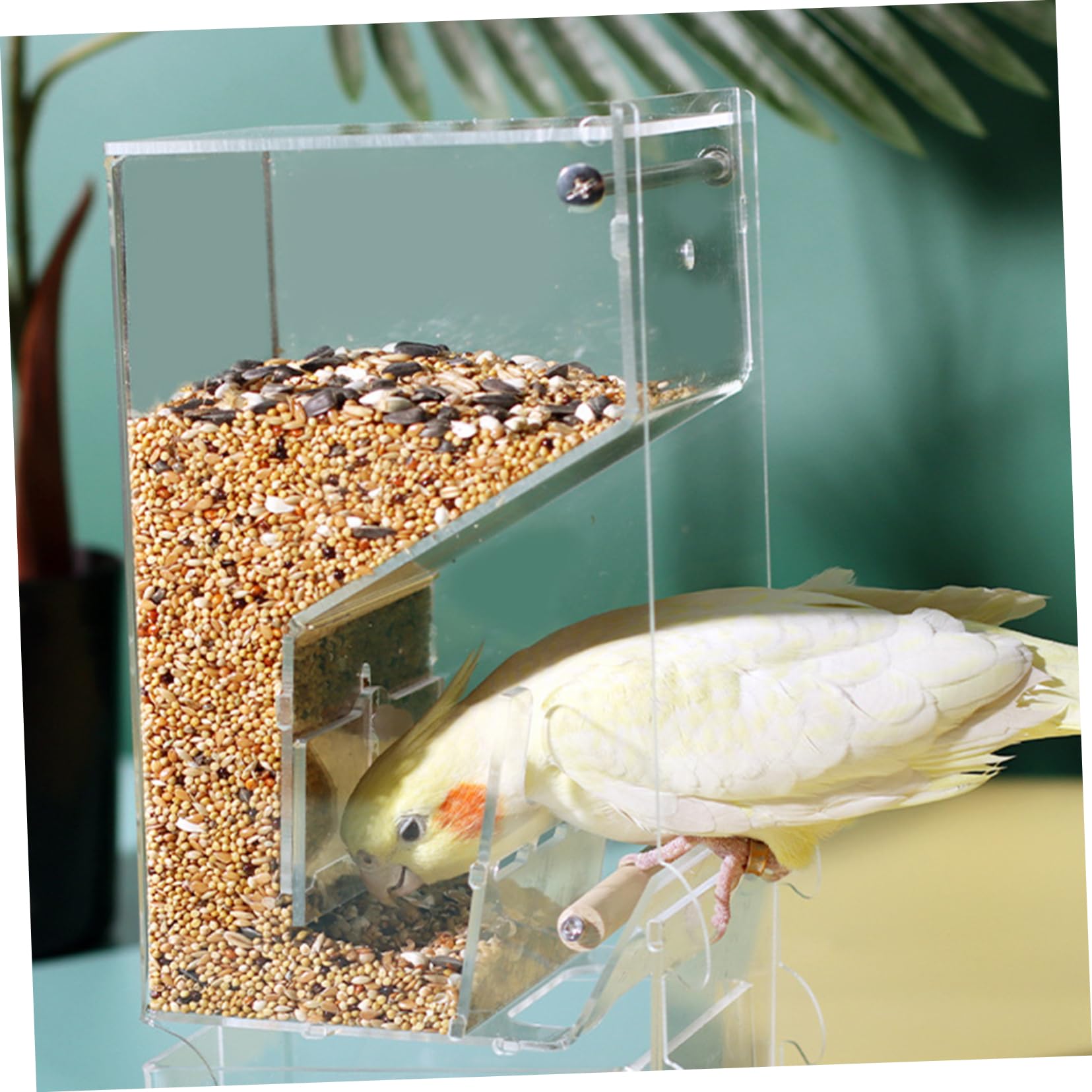 Automatischer Vogel Futterspender Für Kleine Vögel Papageien Futterstation Mit Sitzstange Lösung Für Fütterung Von Kanarienvögeln Und Anderen Kleinen Vögeln