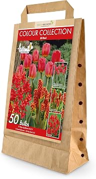 GreenBrokers Colour Collection Spring Flower Bulbs - Red