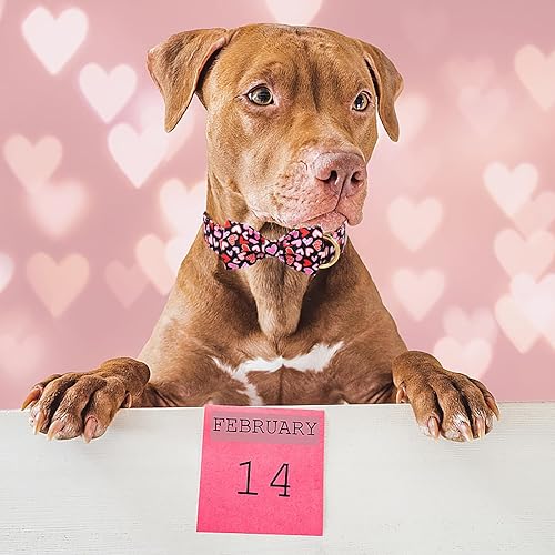 Miniatura 270 de Collar de perro con bandera estadounidense con pajarita, collar patriótico para perros pequeños, medianos y grandes, talla XS