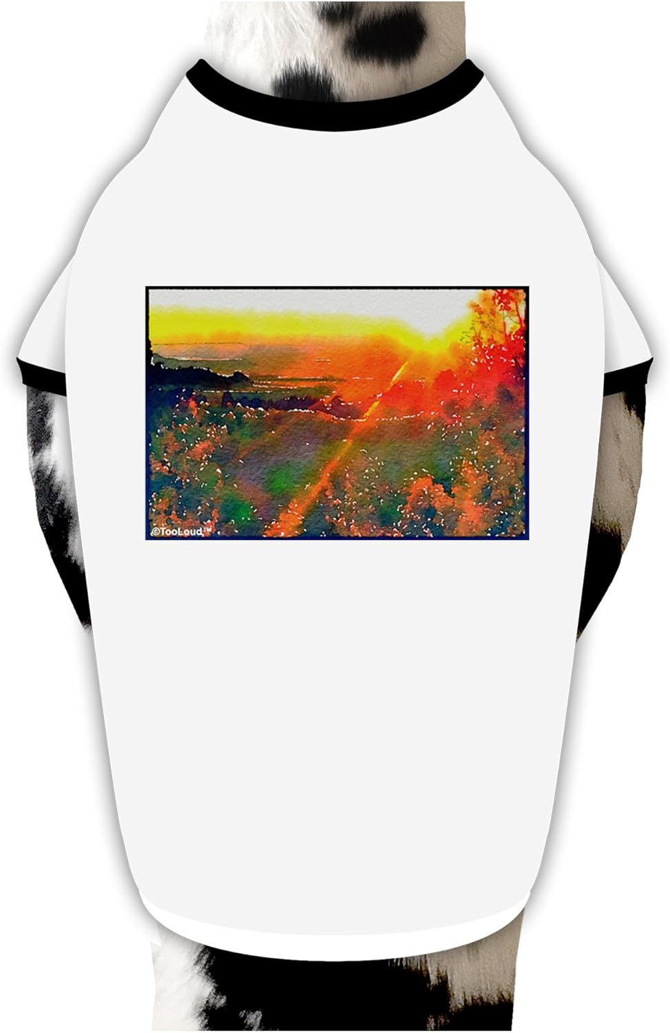 TOOLOUD Colorado Sunset Watercolor Dog Shirt White with Black Small