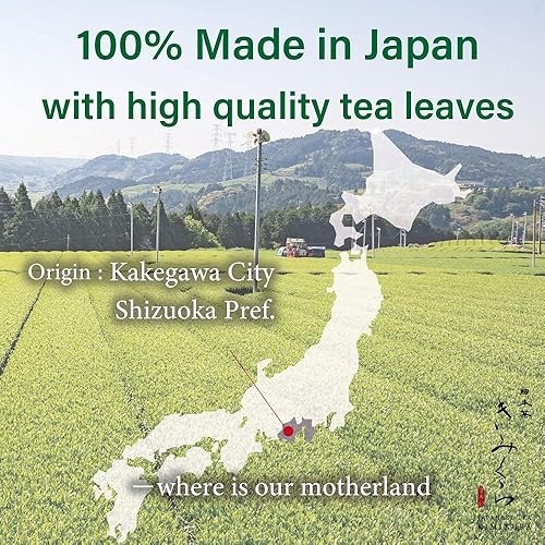 Miniatura 6 de Té verde Fukamushicha Sencha prémium de 2.5 gx50 bolsitas de té para taza de Kakegawa, Japón  IORI by KIMIKURA  Té japonés KIMIKURA