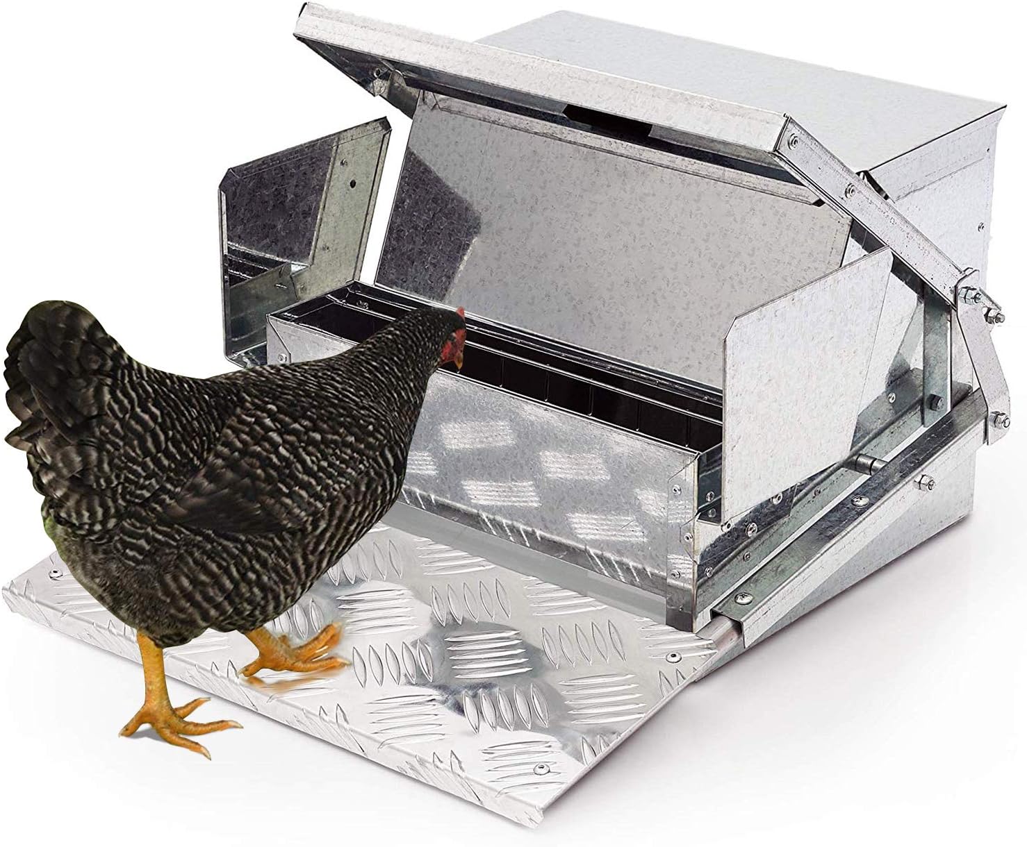 auto chook feeder