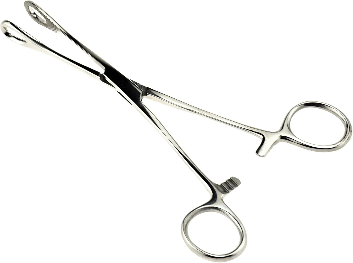 SE 526SF 7Inch Sponge Forceps Stainless Steel Amazon.ca Industrial