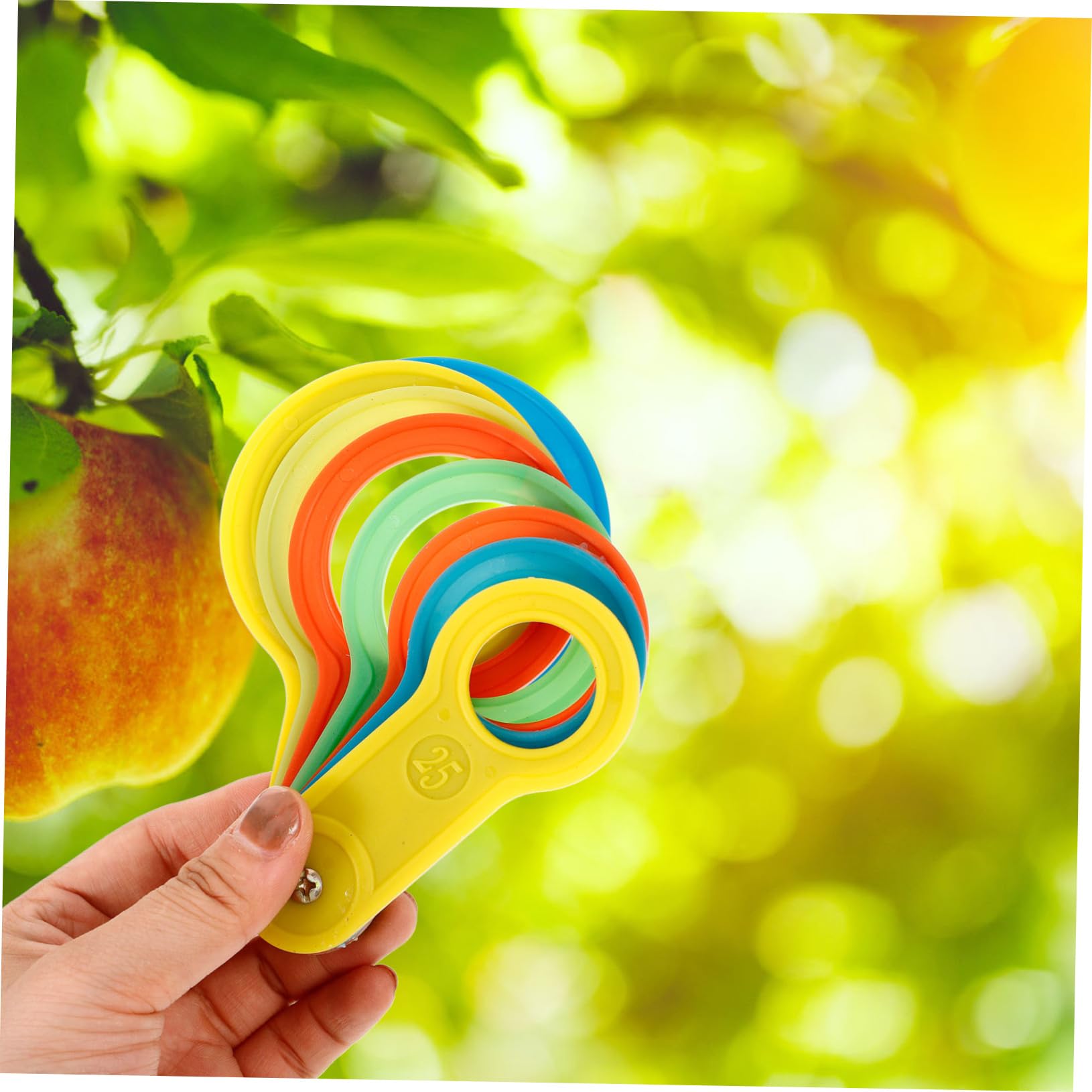 Hohopeti 10ensembles Outils De Mesure De Fruits De Cercles De Classification Pour Mesure Précise Des Poires Et Pratique Et Pour Classement