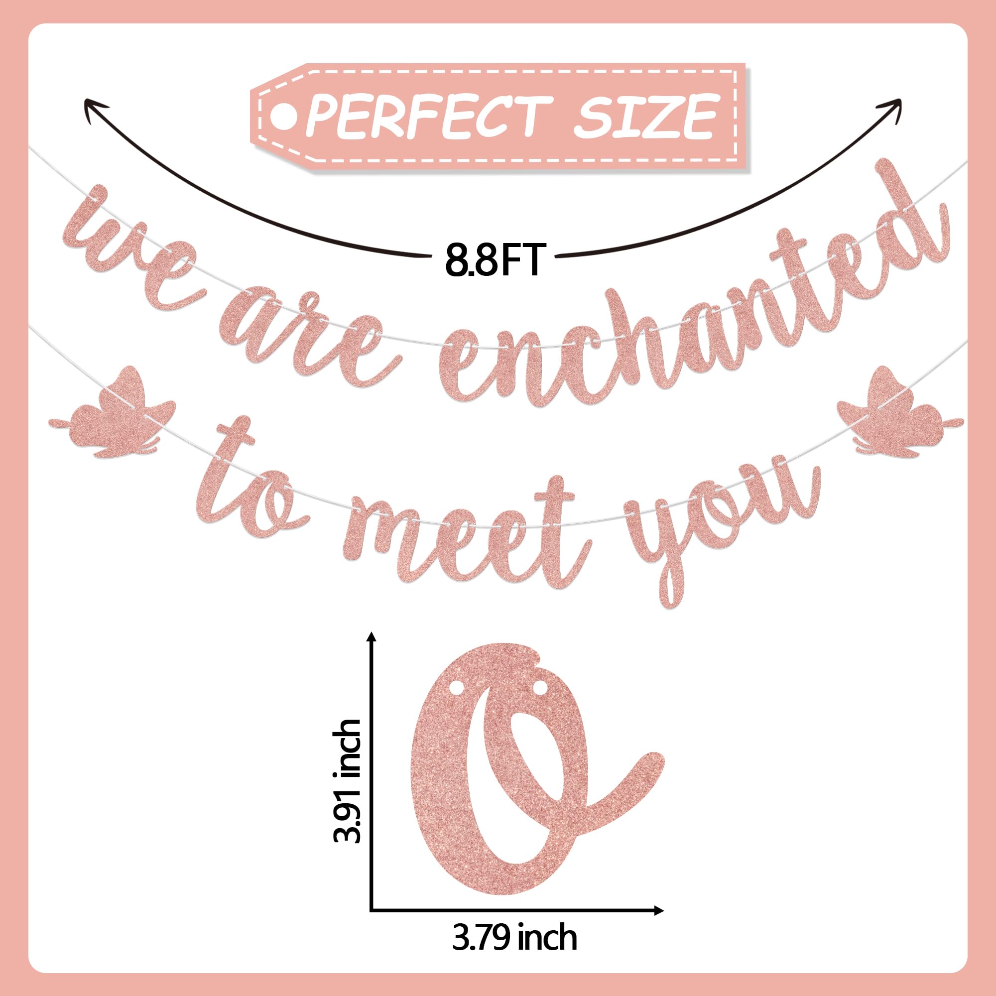 We are Enchanted to Meet You Banner - A Sweet Little Girl is on Her Way Baby Shower Gender Reveal Party Decorations Rose Gold - Image 2