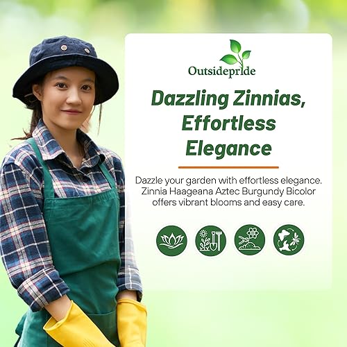 Miniatura 6 de Outsidepride 100 semillas anuales Zinnia Aztec Borgoña Flores bicolor para plantar