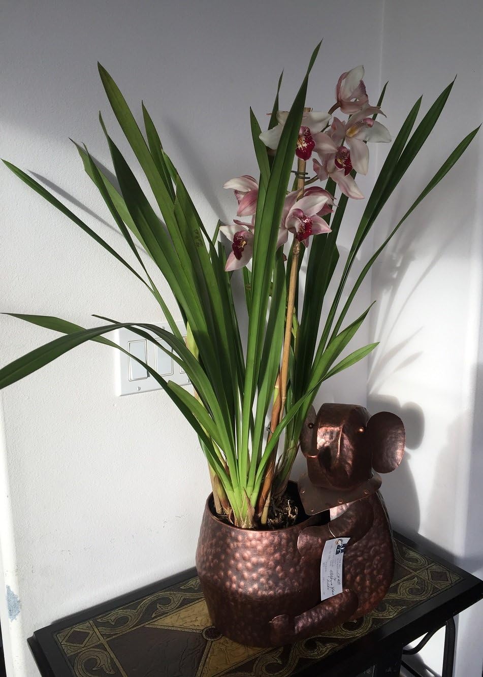 Metal plant holder indoor Planter Holder Flower Pot (Elephant2-13x9x14")