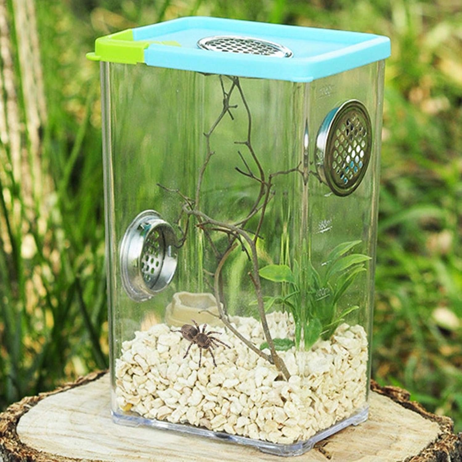爬虫類ケージ 飼育ケース 飼育容器 爬虫類 小動物用 カメ亀 タンク 爬虫類飼育箱 トカゲ 飼育ボックス Horypt 昆虫飼育ケース アクリル クモ サソリ ヤモリ ヘビ カメ クワガタ 飼育ケージ 5 大好評