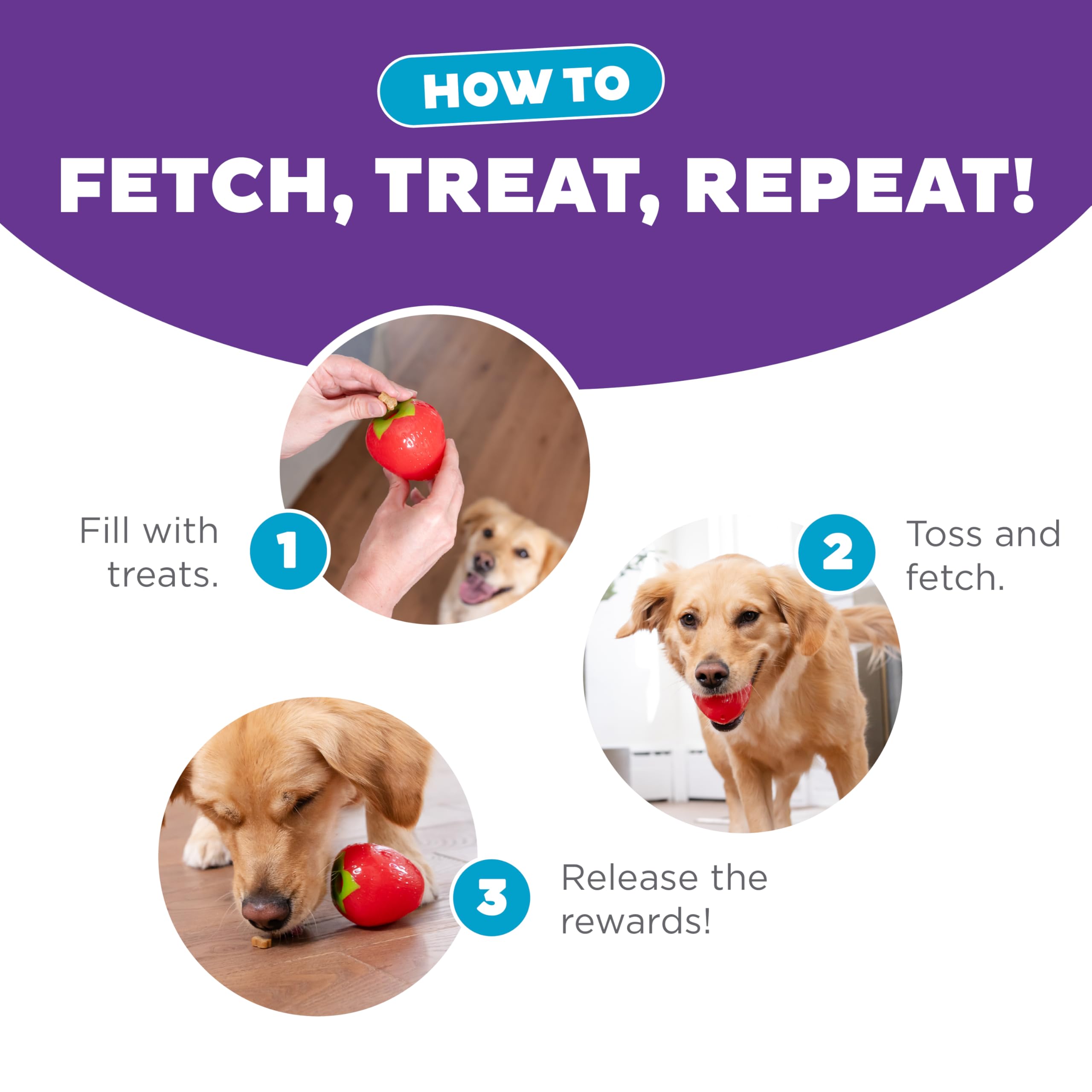 Outward Hound Planet Dog Orbee-Tuff Strawberry Treat-Dispensing Dog Chew Toy