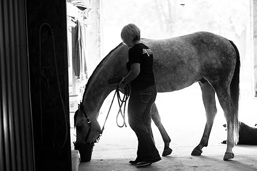 Miniatura 3 de Mega-Mag (10lb) Suplemento multivitamínicomineral equilibrado para dietas de heno de alfalfa