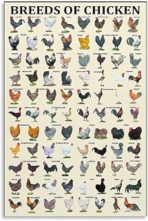 Vintage Breeds of Chickens Poster Farm Knowledge Funny Canvas Wall Art Aesthetic Decorative Painting Living Roomstyle 12x18inch(30x45cm)