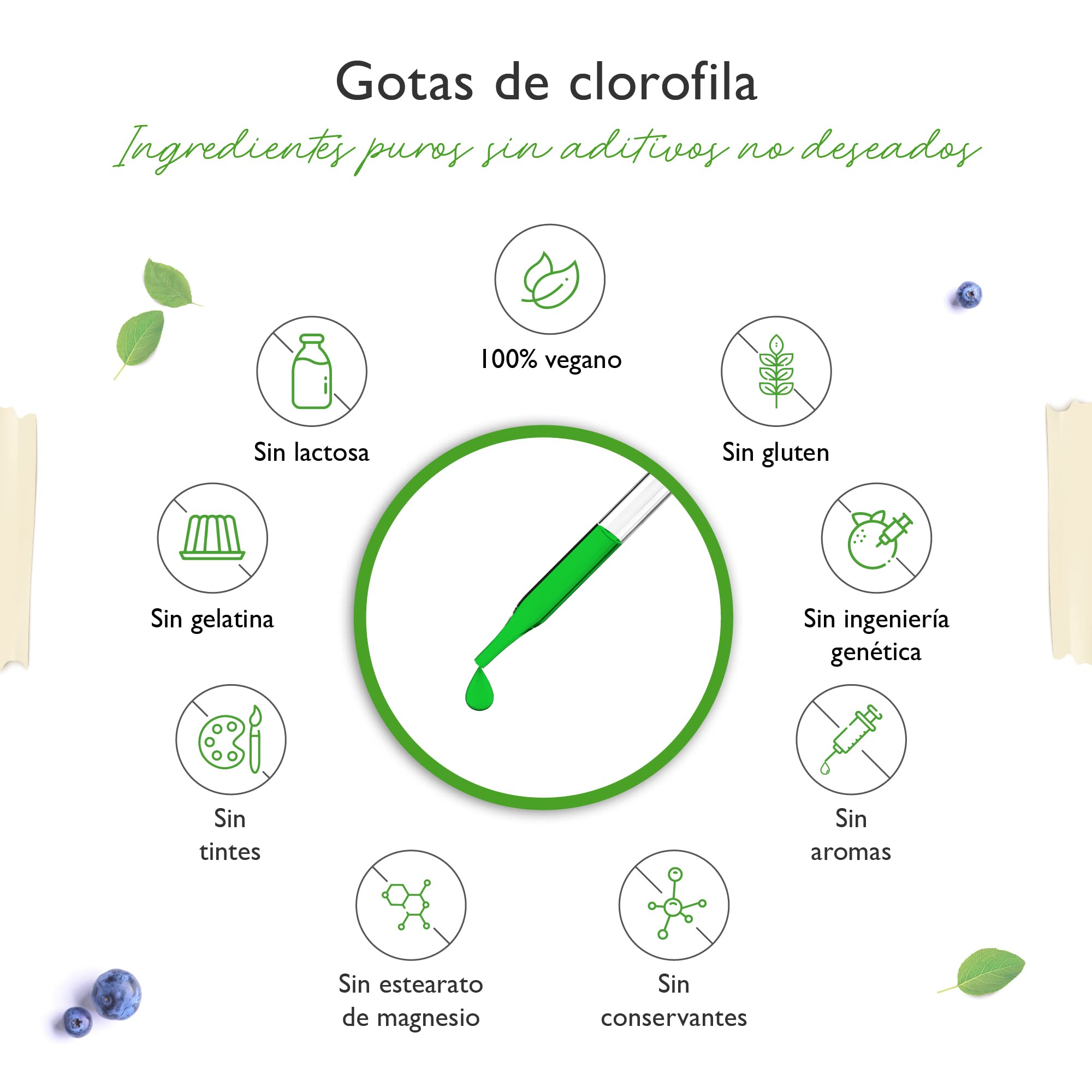 Gotas de clorofila 50 ml - Premium: Dosis hasta 4 veces superior - Clorofila líquida de extracto de alfalfa - Con agua de ósmosis purificada - Vegano