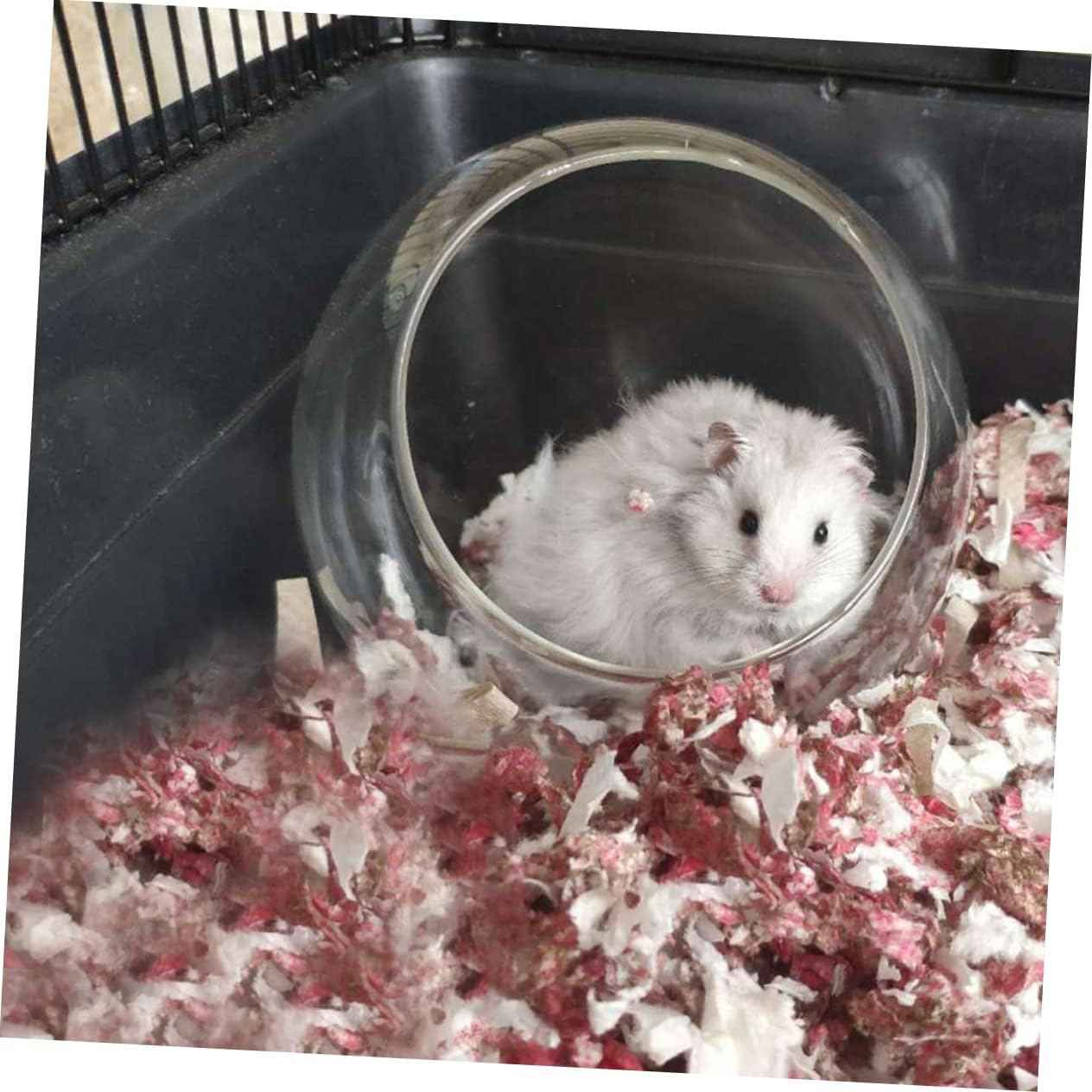 Sosoport Quality Glass Nest for Hamsters Chinchillas Guinea Pigs Unique Design Cooling Bedding Pet Supplies image 3