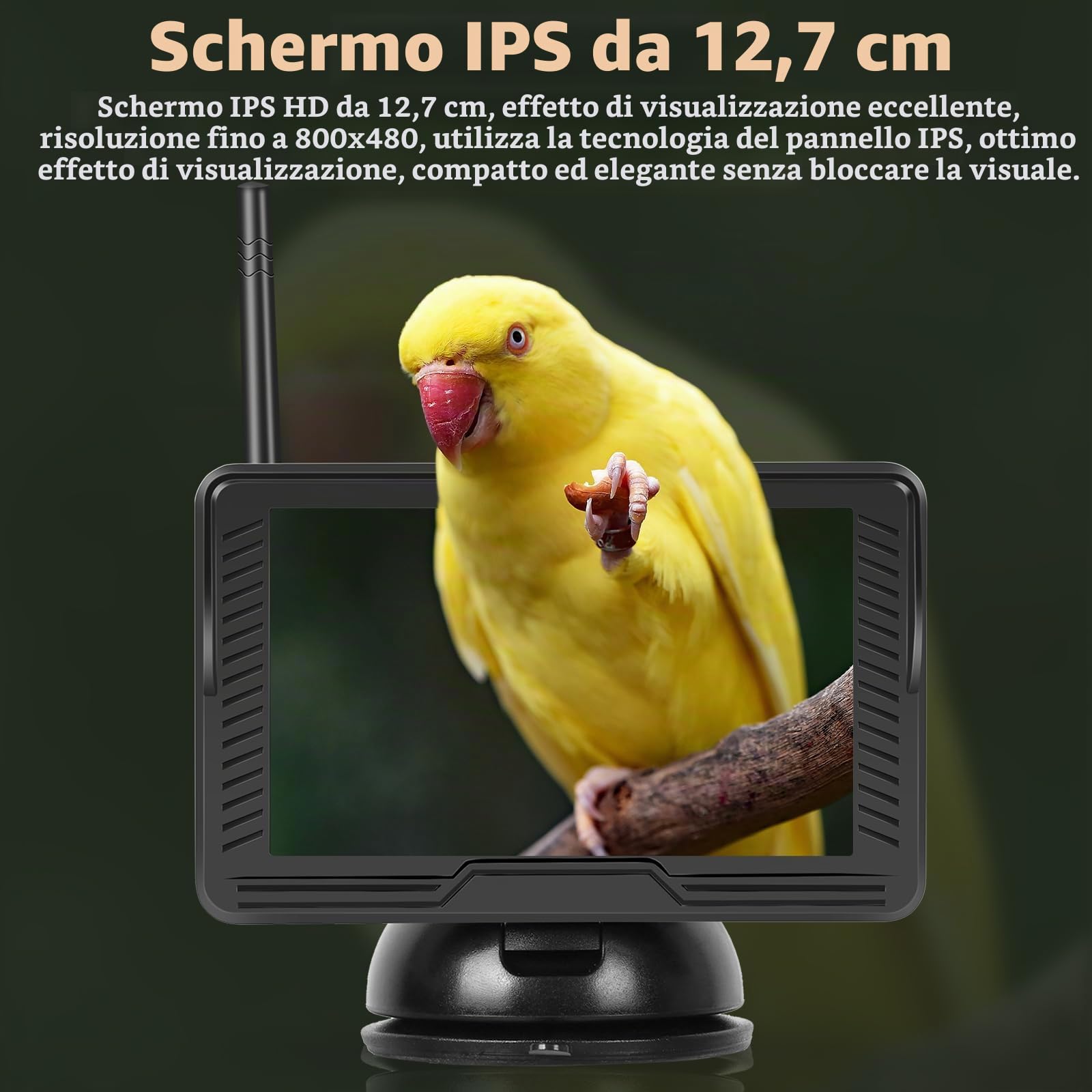 Podofo Wireless Telecamera Retromarcia AHD Con Monitor da 5 '' Digitale IP69 Visione Notturna Impermeabile Ventosa Grandangolare Facile Installazione Con Macchina Fotografica Della Targa DC12V