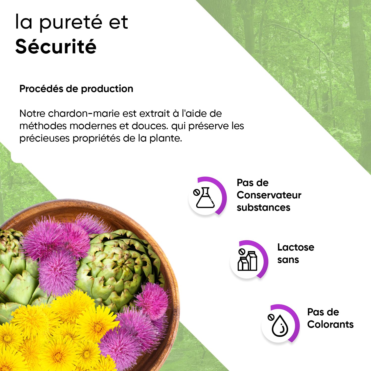 Chardon-Marie 240 Gélules avec Extrait à 80% de Silymarine Artichaut et Pissenlit Pilulier Inclus Réserve de 8 Mois 100% Végan Formule Pure Qualité Contrôlée