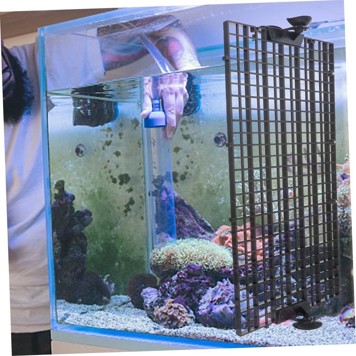 Toddmomy 1set Aquarium Divider Tank Divider Cups Isolation Board for Fish Tanks Expands Living Space Suitable for All Fish