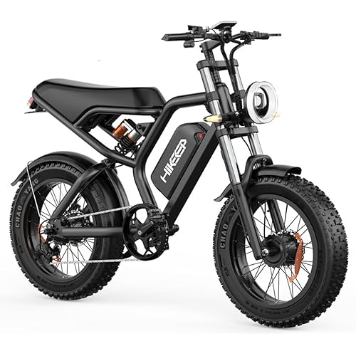 Electric Bike for Adults - 20 x 4 Inch Fat Tire, 750W/Peak 1500W Motor, 48V15AH Detachable Battery, 4 Riding Modes Electric Dirt Bike, 7 Speed Electric Motorcycle, 28MPH UL 2849 Certified