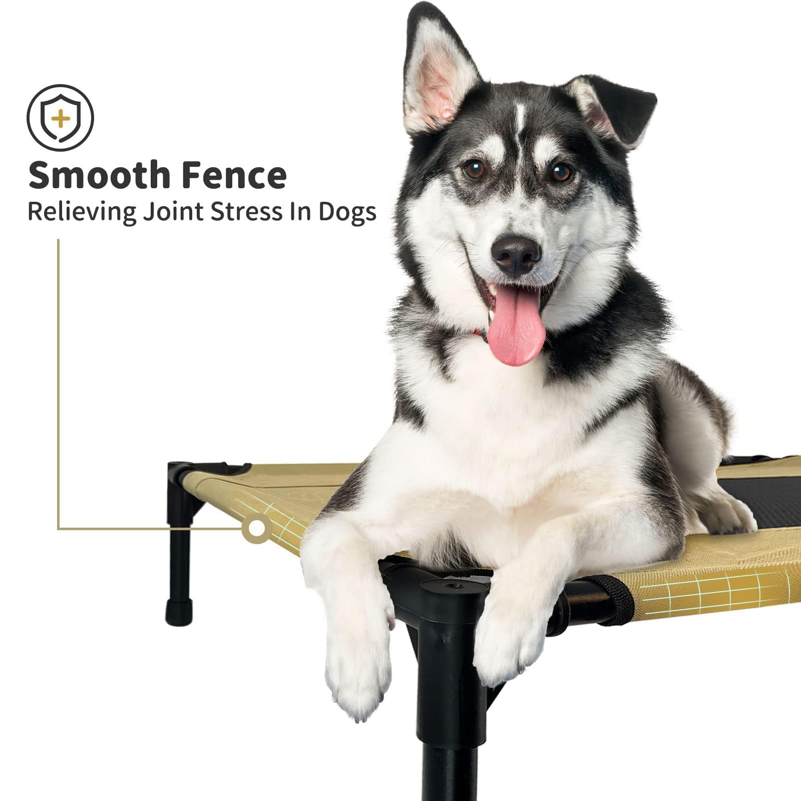 FIOCCO Elevated Dog Bed - Heavy Duty Dog Cot, Washable Raised Dog Bed with Chew Proof Mesh and Metal Frame, Portable Dog Bed for Outdoor Use, Dog Cots Beds for X-Large Dogs, Agave Green/Black Mesh