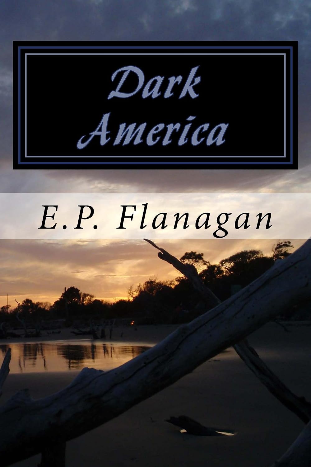 Dark America First Rising Dark America (The Beginning Book 1) - Kindle edition by Flanagan, E.P ...