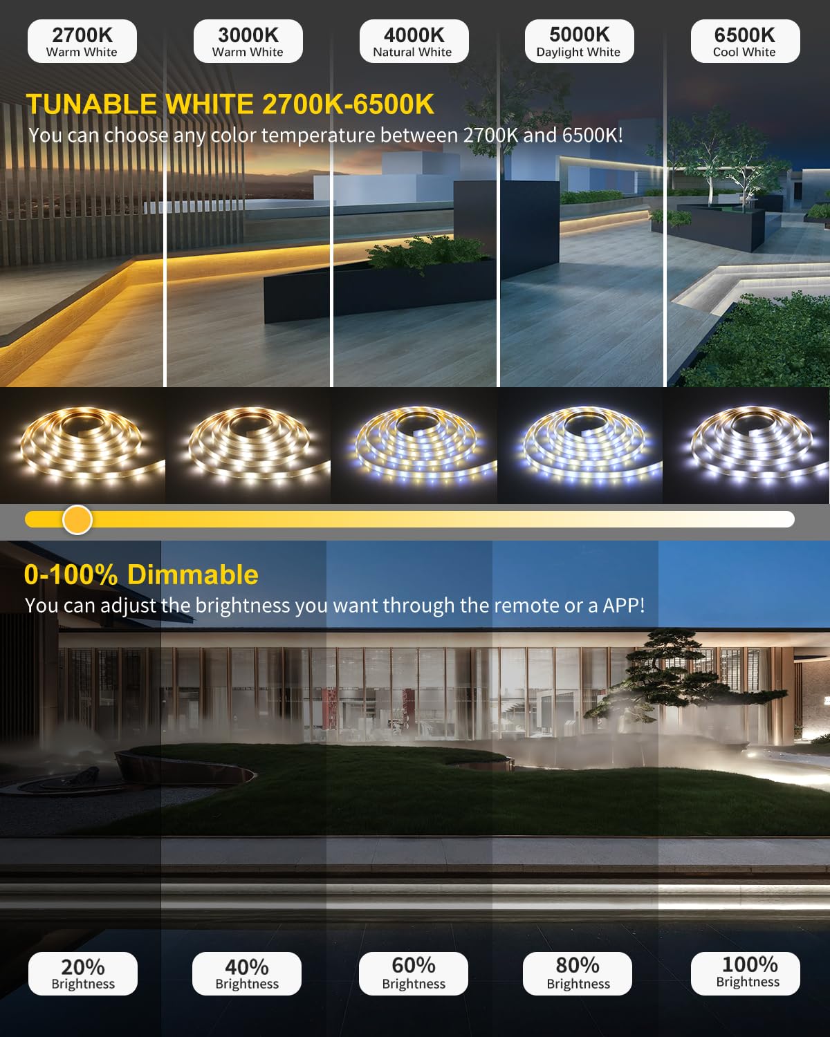 ALITOVE 24V LED Streifen 20m Abstimmbar Weiß 2700K~6500K mit APP-Steuerung | RF Fernbedienung, LED Band Aussenbereich Wasserdicht, Musik-Sync, Timer, für Decks Terrasse Garten, Nicht Selbstklebend