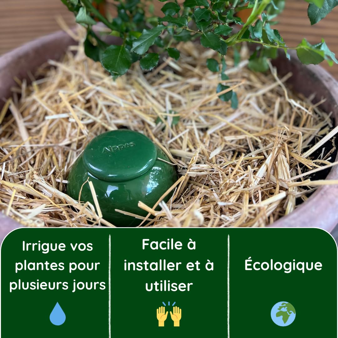 2 Oyas à Planter 0,8 Litre Vert en Terre Cuite avec Couvercle - ollas pour Plante intérieure et extérieure - Goutte à Goutte par capilarité